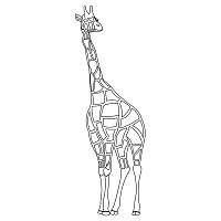 rea giraffe